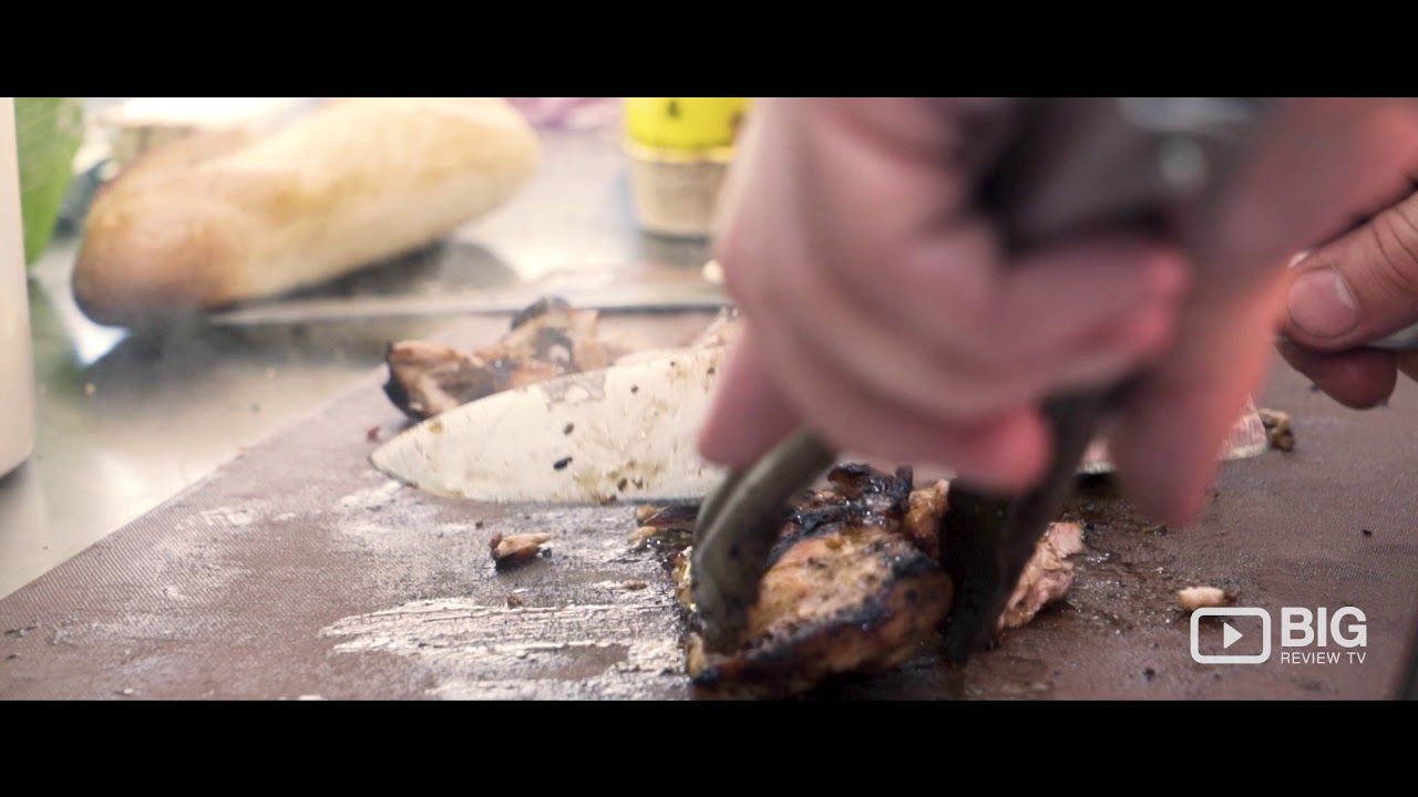 Shisofine Food Truck in Sydney serving Dumplings, Gyoza and Yakitori