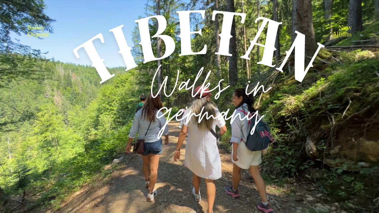Tibet Traveler Steps Into Germany’s Ancient Forest || What Did They Find?#tibetanvlogger