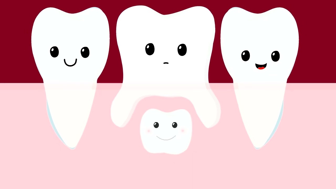 Cambio dei denti nei bambini? Ecco come affrontare il cambio senza paura | Curaprox Kids Educational