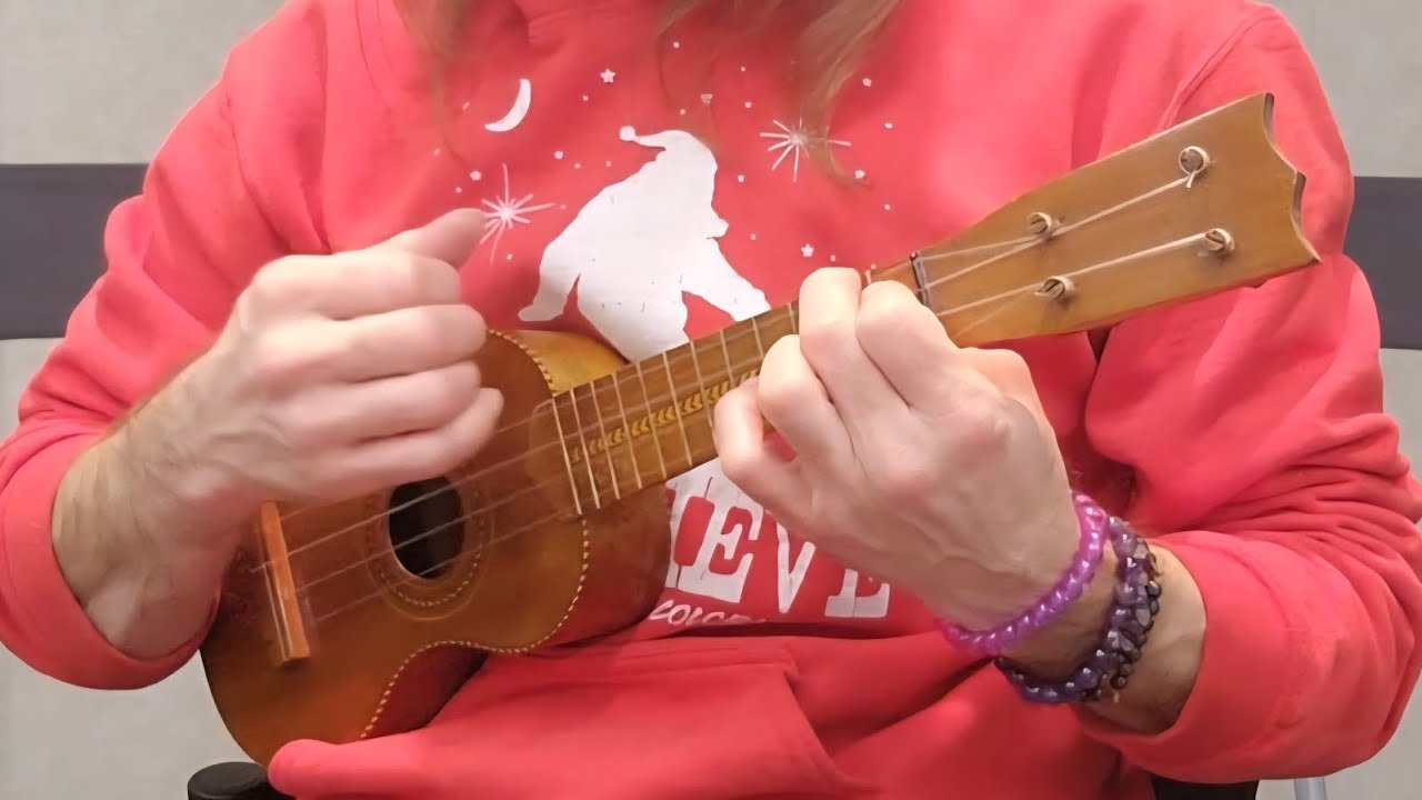 Dogwood Mountain Dulcimer Club Christmas Jam 🎄 