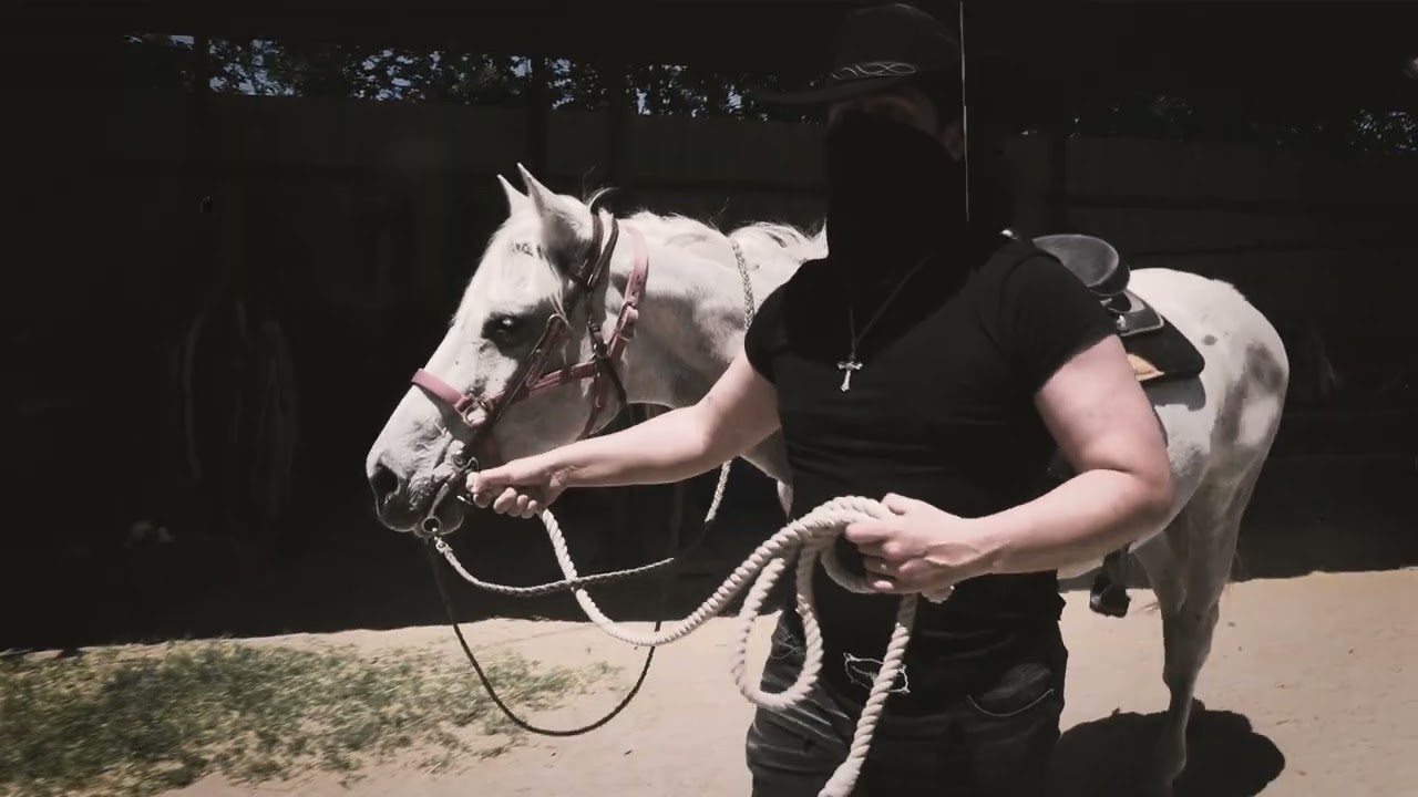 Lonestar Outlaw Debut