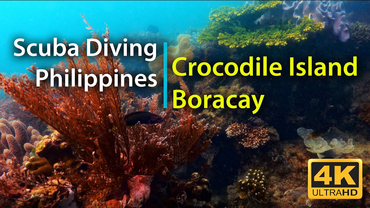 Travel Philippines - Diving Boracay 2024 - Crocodile Island in 4K