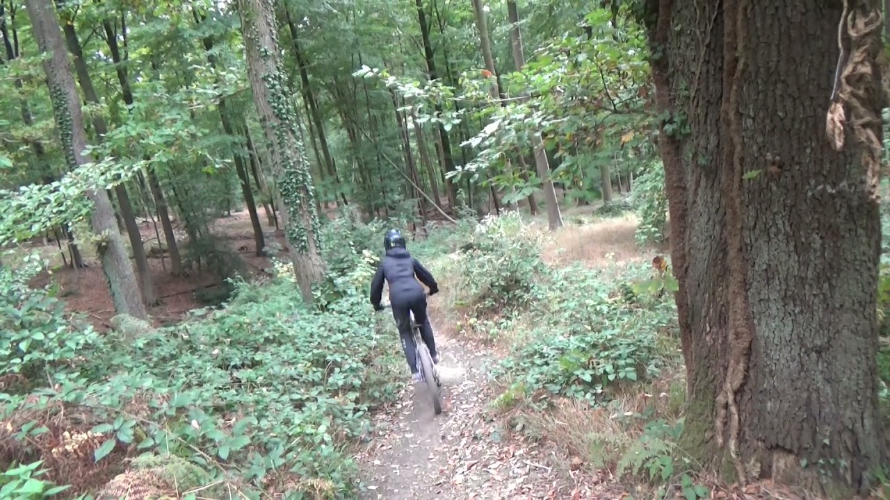 Way2RAW - Autumn shredding