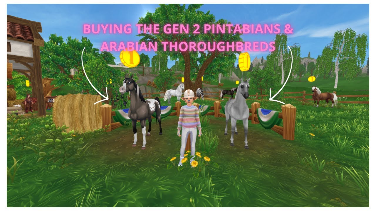 Buying The Gen 2 Pintabians & Gen 2 Arabian Thoroughbreds