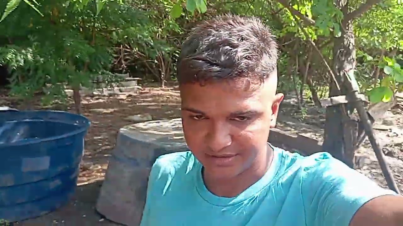 Rapaziada vídeo de hoje foi amostrando os porcos 🐖