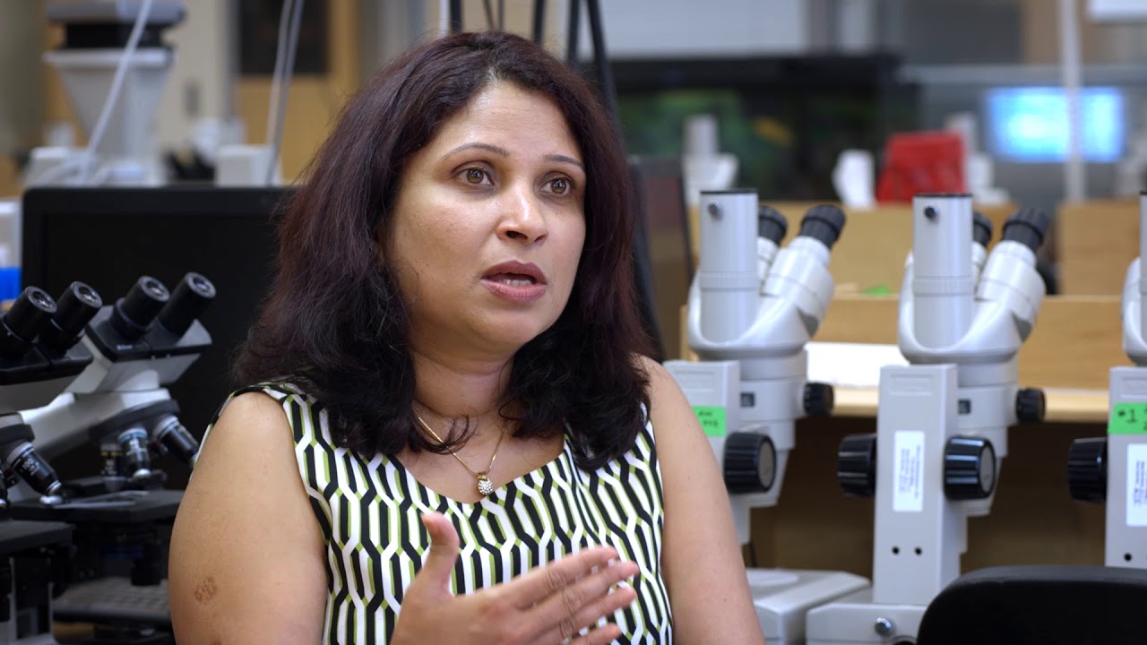 My Spelman Experience: Aditi Pai, Ph.D.