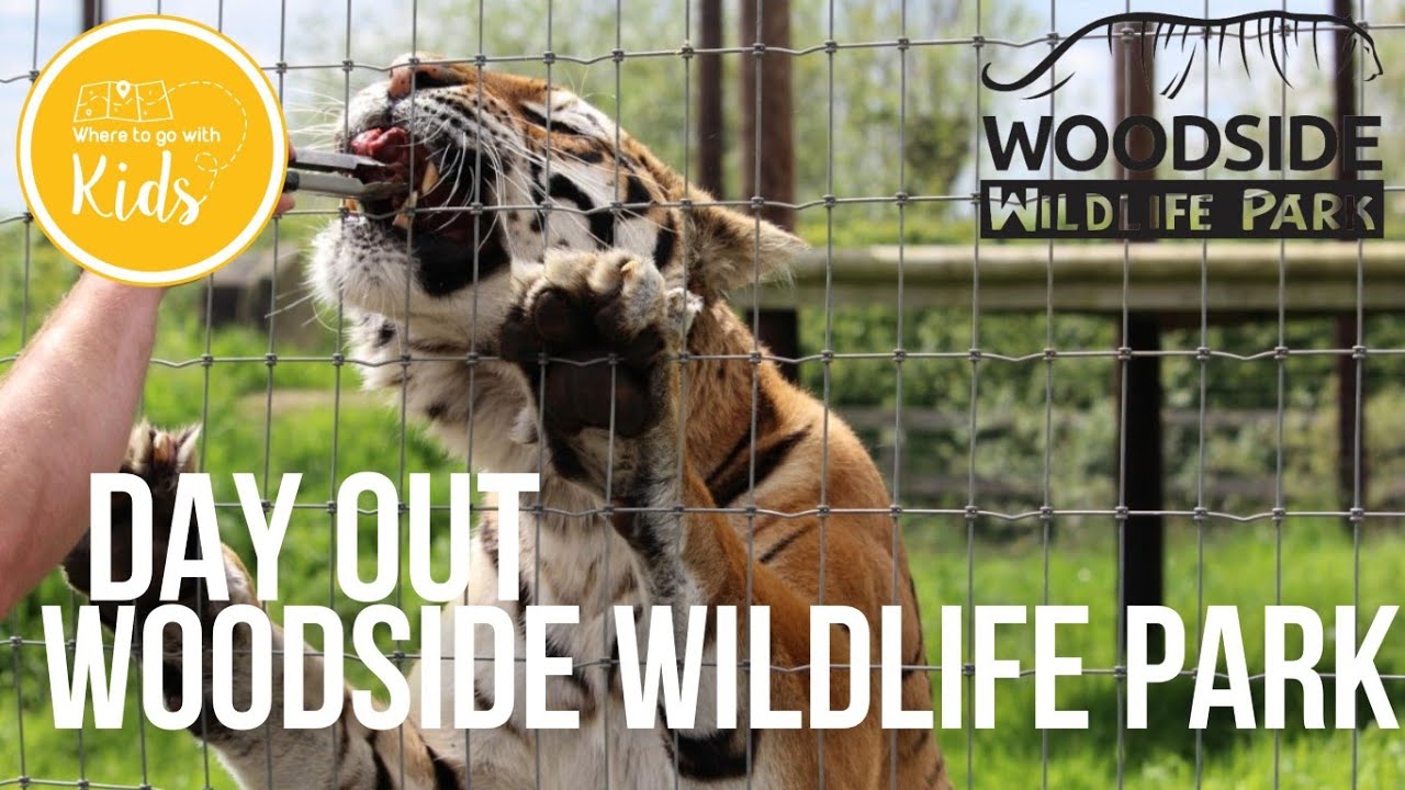 Woodside Wildlife Park Near Lincoln Lincolnshire Family Day Out Vlog