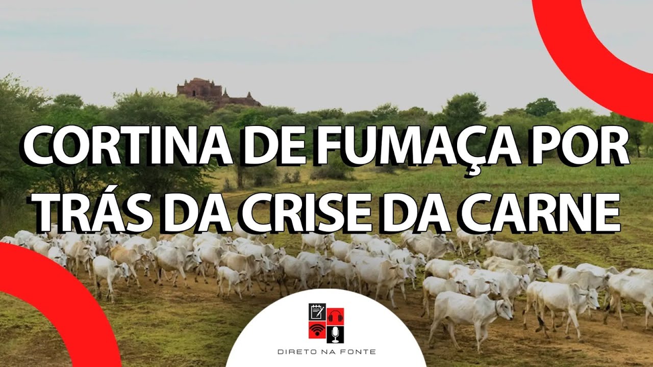O que está por trás da crise da carne brasileira, instaurada pelo Carrefour da França?