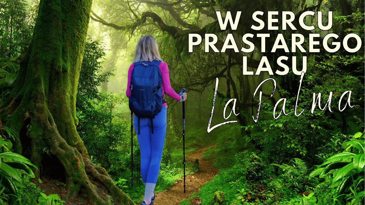 La Palma 🐍🌴 Śladem wymarłych lasów 🌳👣 Cubo de la Galga 🌴 Wyspy Kanaryjskie 🔭🌋