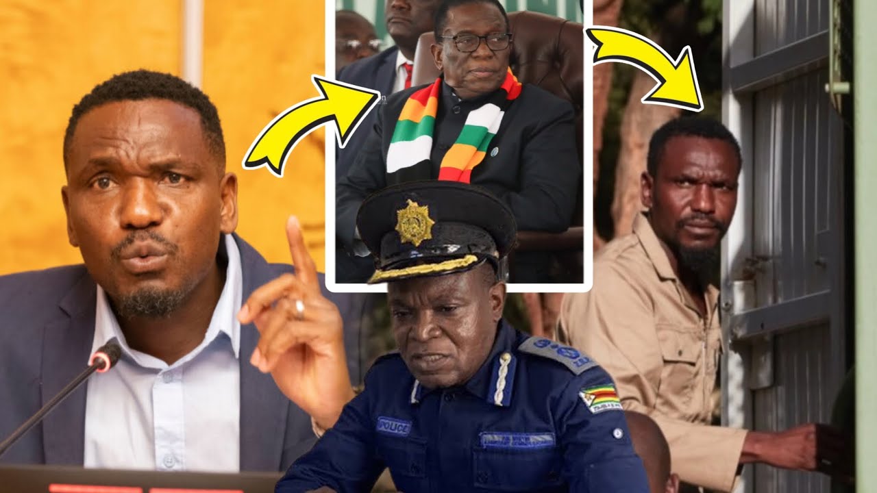 Mnangagwa Police Launch Arrest Warrant for  Blessed Mhlanga After Geneva Speech Criticising ZANUPF