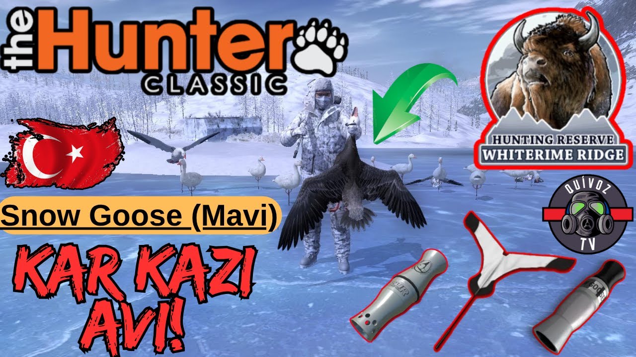 Whiterime Ridge Snow Goose (KAR KAZI) AVI!! | The Hunter Classic TÜRKÇE #thehunter