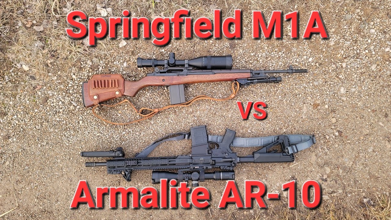 Springfield Armory Inc M1A National Match vs Armalite AR-10