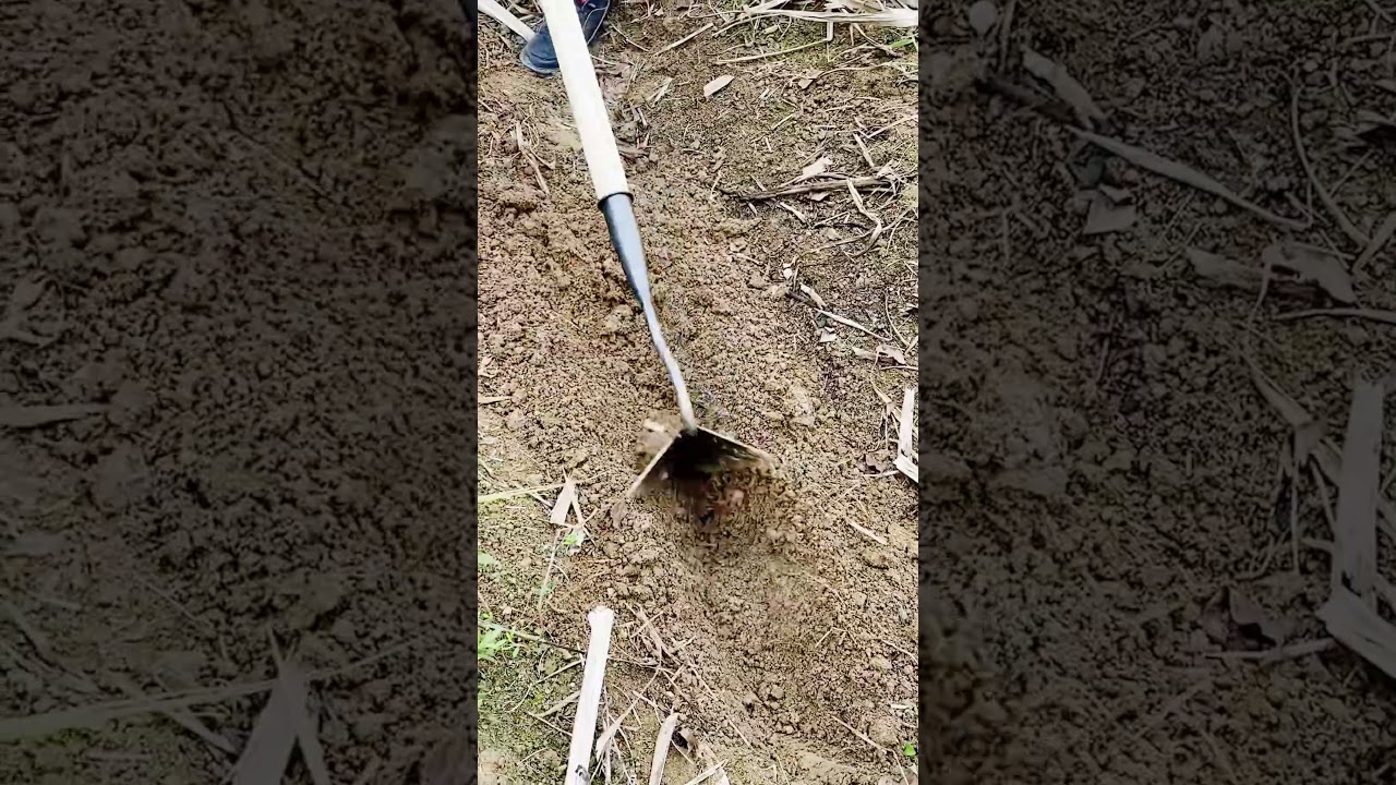 unique tools to make garden work easier 