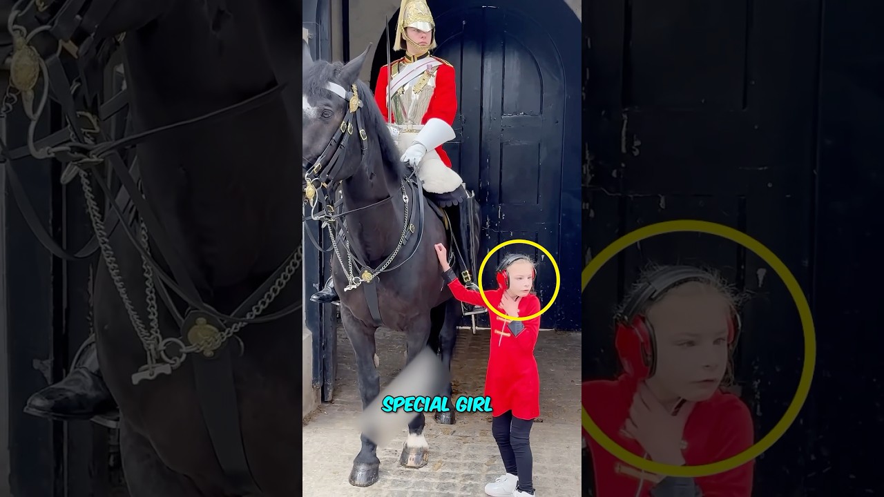 This Special Girl Had One Wish&hellip; and The King&rsquo;s Guard Granted it! 🥹#shorts #emotional