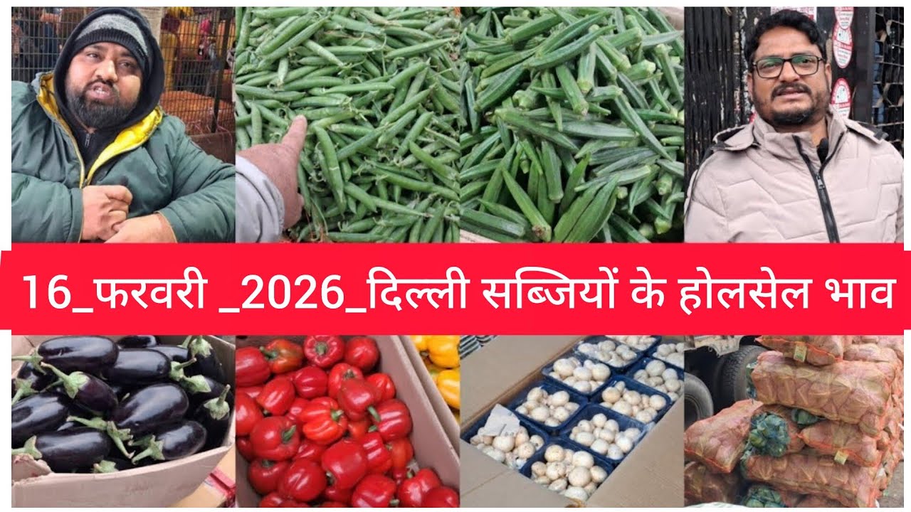 February 16, 2026 दिल्ली सब्जियों के भाव delhi vegetables market delhi fruit market #vegetables,
