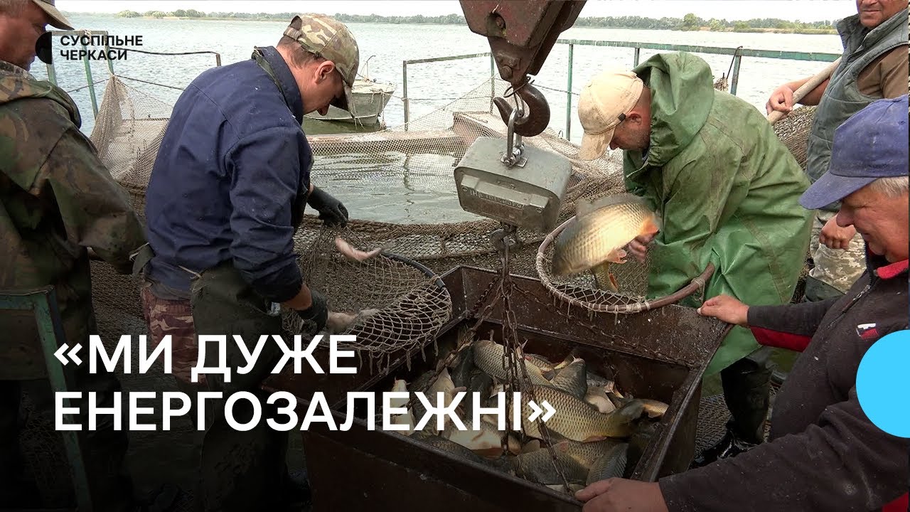17 мільйонів ікринок в інкубаторі: як в умовах відключень працює Іркліївський риборозплідник