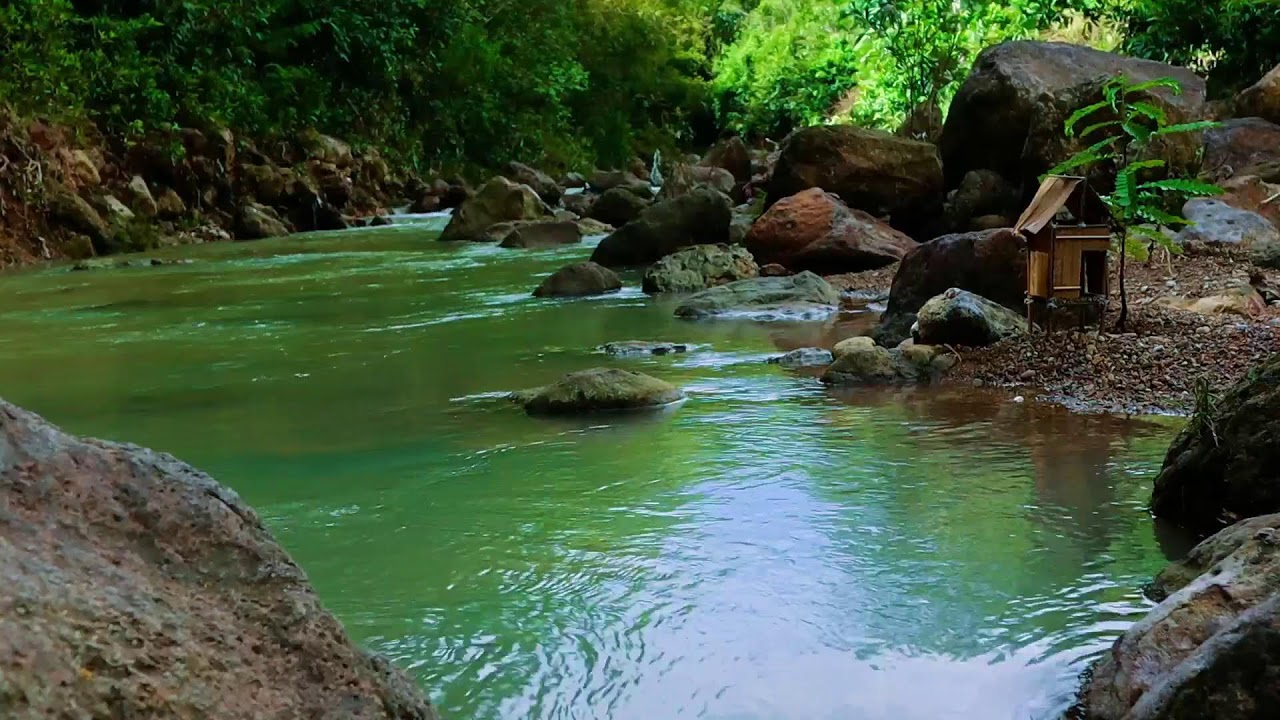 Serene Hut Beside a Clear Forest River. 🌲✨