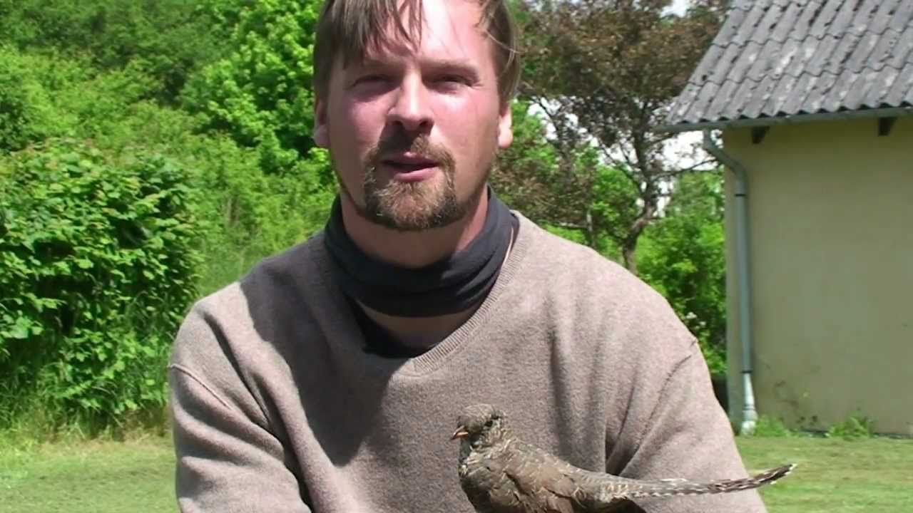 TV Horsens - Det Derude Gøg