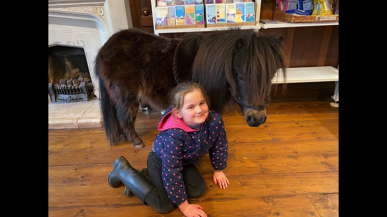 Patrick arrived in Cockington, but there were difficult times 🐴