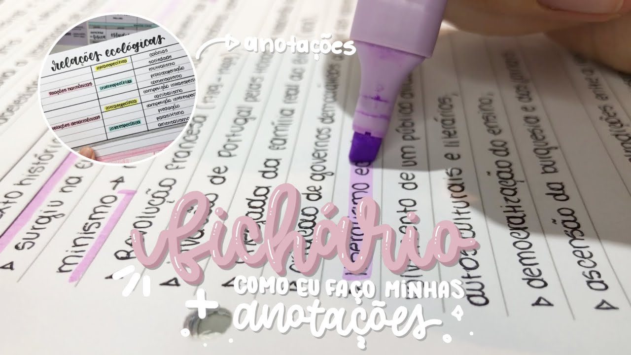 meu fichário + como eu faço minhas anotações
