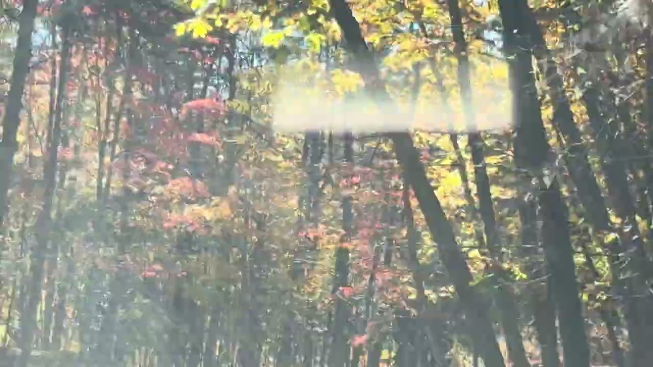 Leaf Peeping - Hanging Rock State Park  Fall 2025 
