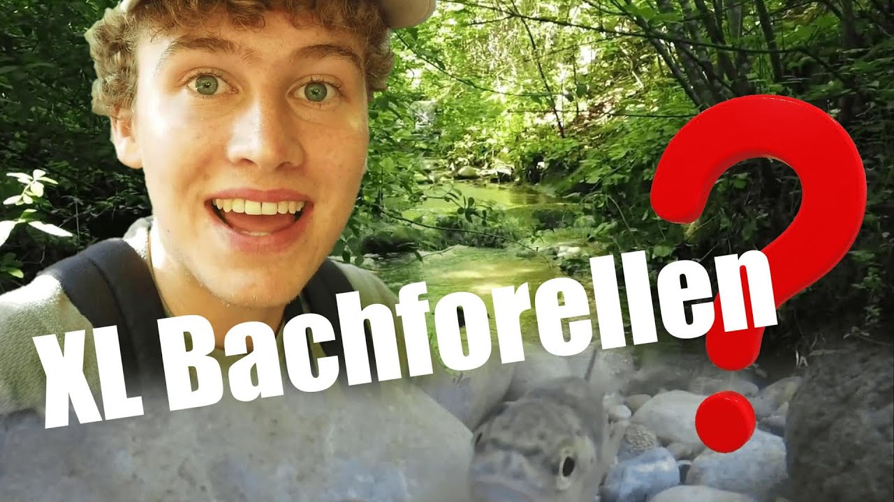 Bachforellen im Kleingewässer! - Schluuchbach Expedition Teil 2