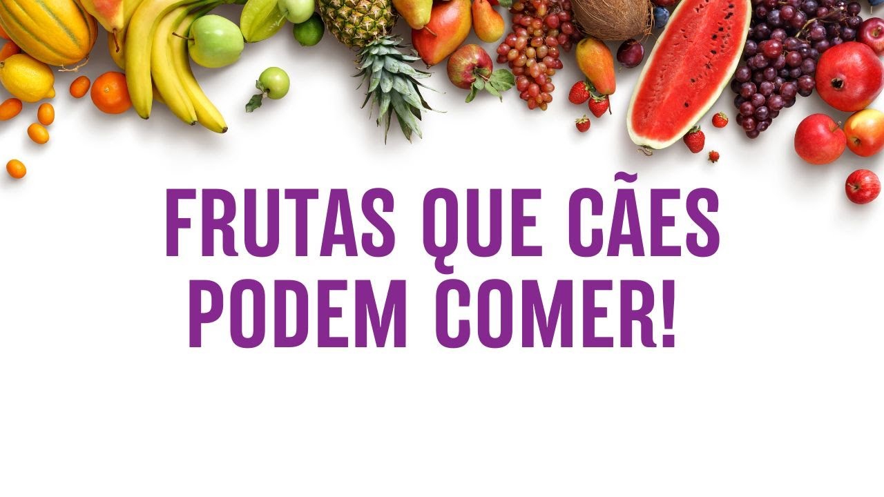 Frutas que cães podem comer! I Frutas para dar para cachorro!