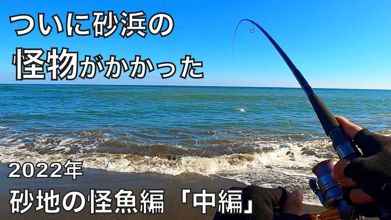 広大な砂浜で釣りし続けたら、とんでもない大物が掛かった。（2022年砂地の怪魚編中編）【車中泊釣り旅第三弾・西日本&九州編9話】