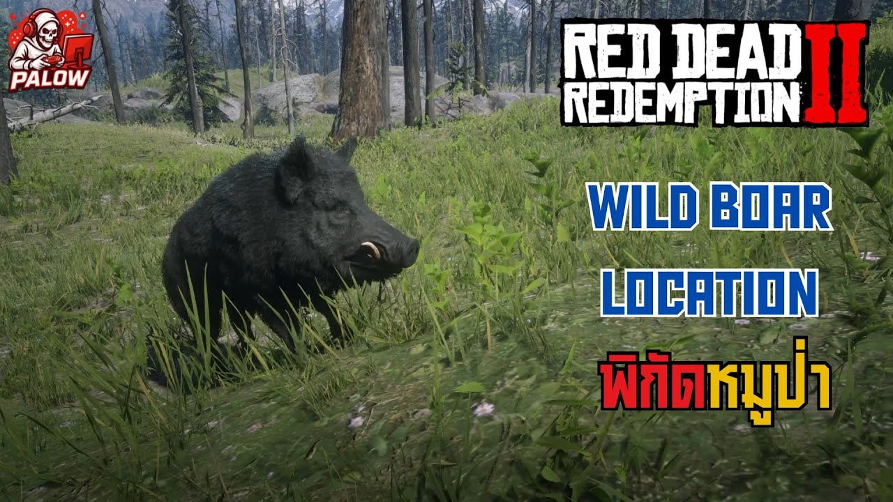 RDR2 Wild Boar Location | พิกัดหมูป่า