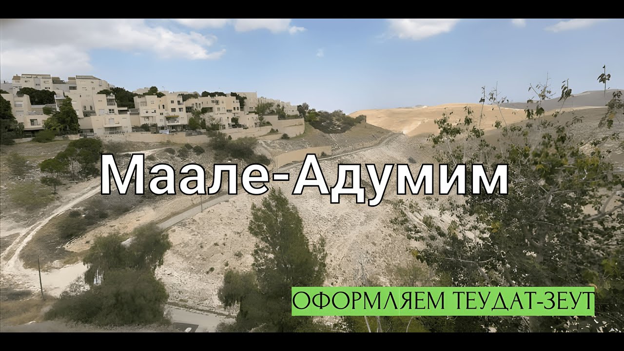 Израиль. Оформляем Теудат-зеут (Израильский паспорт) в Маале-Адумим