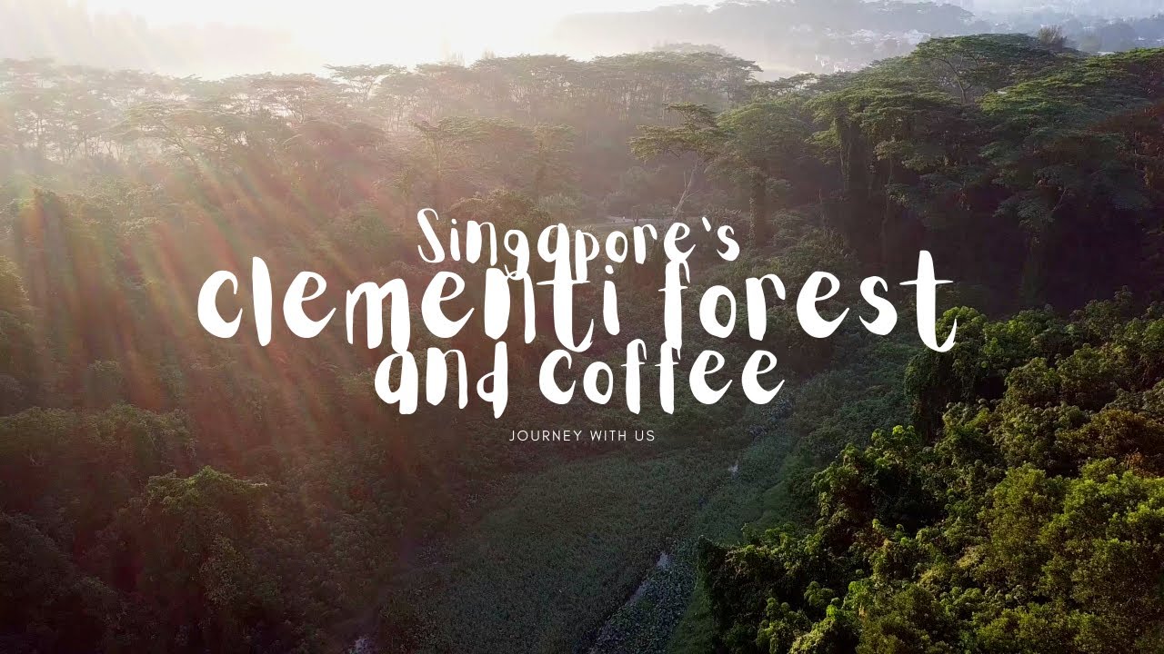 Singapore's clementi forest and coffee (ASMR)
