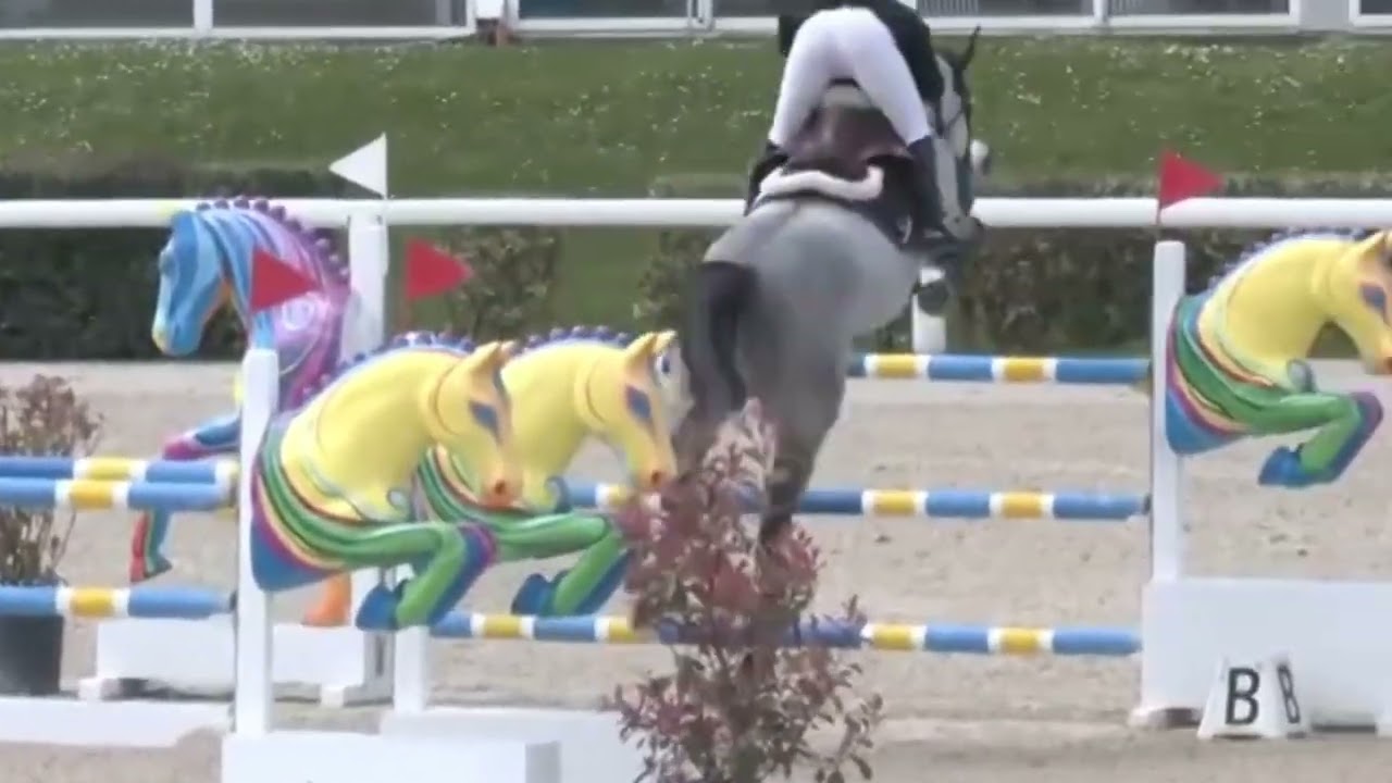 Hamos (HALIFAX VT KLUIZEBOS﻿) et Eiken Sato - 4e du GP des chevaux de 7ans au CSIYH1* de Arezzo