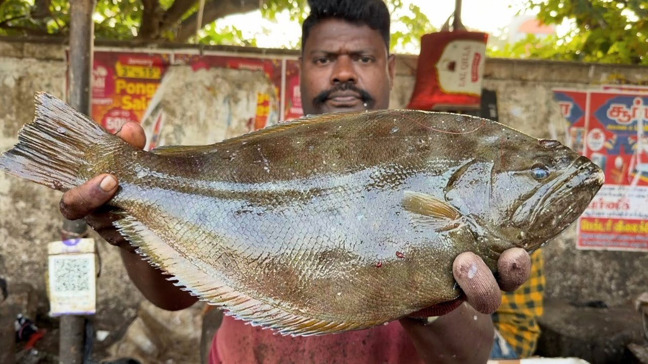 KASIMEDU SELVAM NAKKU FISH CUTTING | UK SONS MARINE 🇮🇳