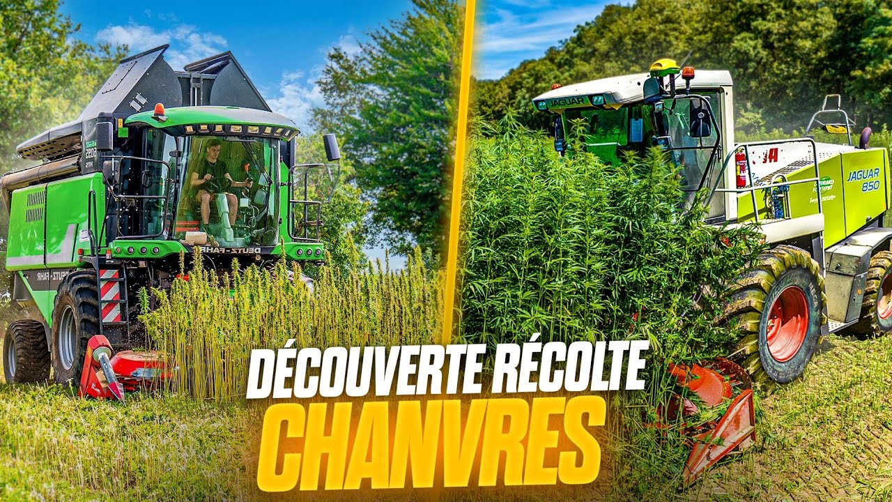 VLOG - 2 MACHINES INEDITES POUR RECOLTER LE CHANVRE GRAINES ET PAILLE