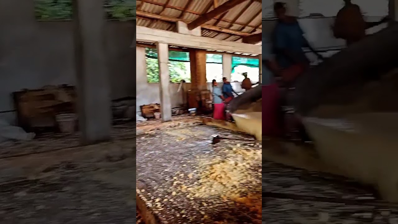 Process of making Jaggery