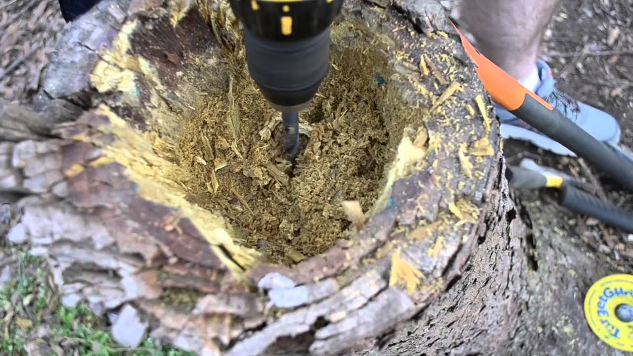 How To Make a Stump Planter