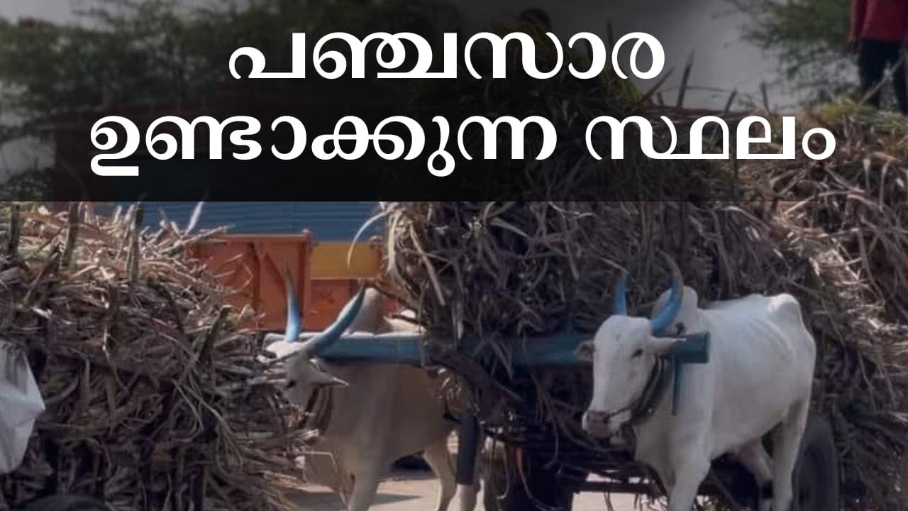 ഈ കാഴ്ച ഒന്ന് കണ്ടു നോക്കൂ. നമ്മൾ കഴിക്കുന്ന പഞ്ചസാര ഉണ്ടാക്കുന്ന സ്ഥലം /Musafir of Dunya 