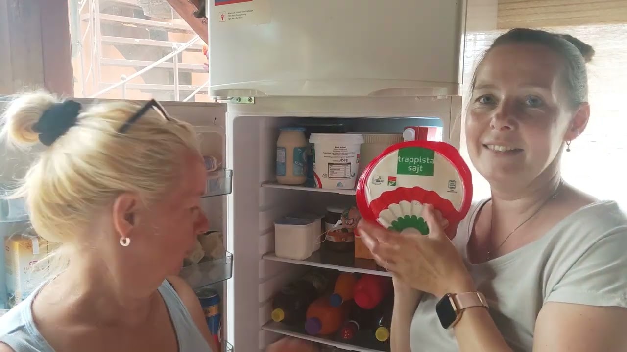 Kühlschrank Haul aus Ungarn I Aldi Einkauf für 7 Personen 1 Woche 68€ I Am Balaton essen
