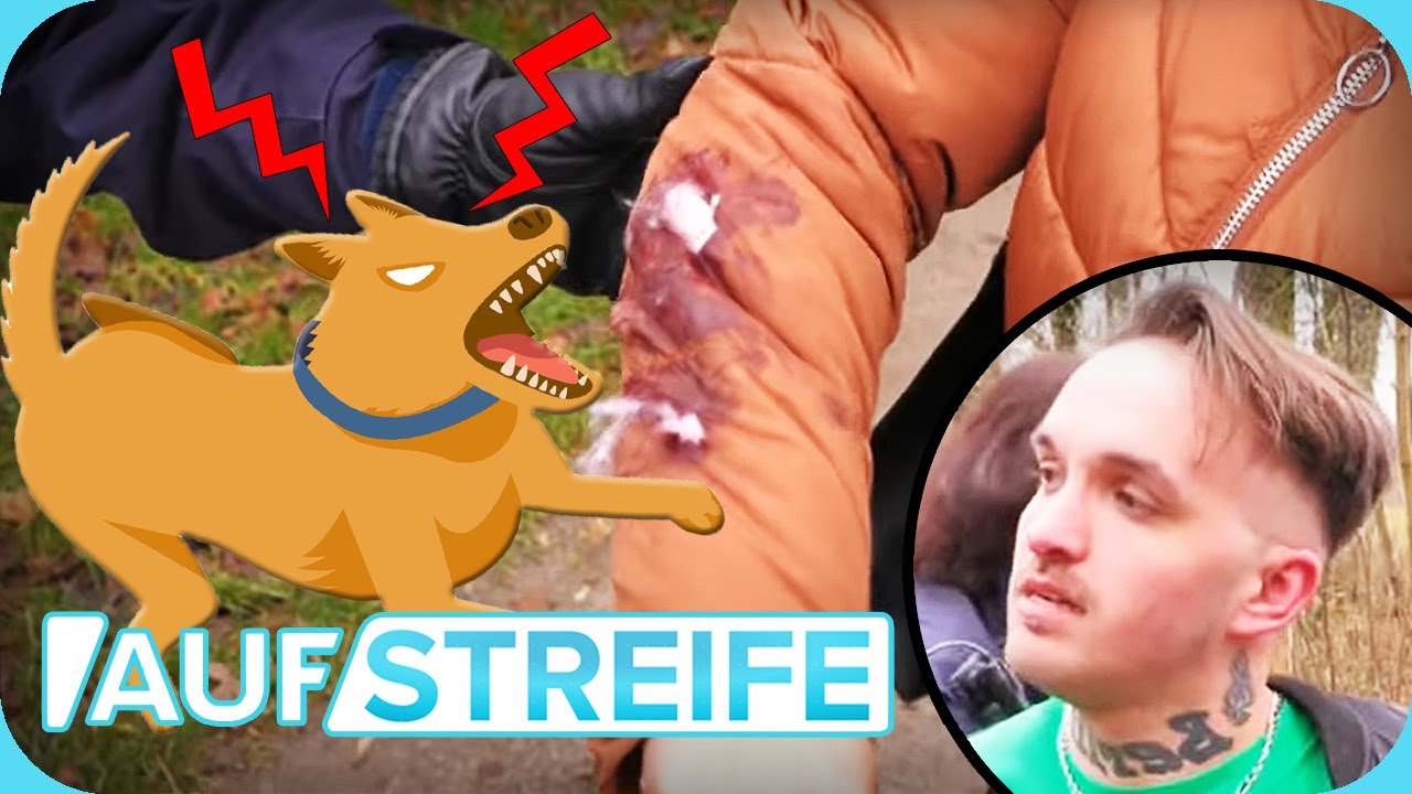 Aggressiver Hund! 🐕‍🦺 Auch sein betrunkenes Herrchen ist außer Kontrolle... | Auf Streife | SAT.1