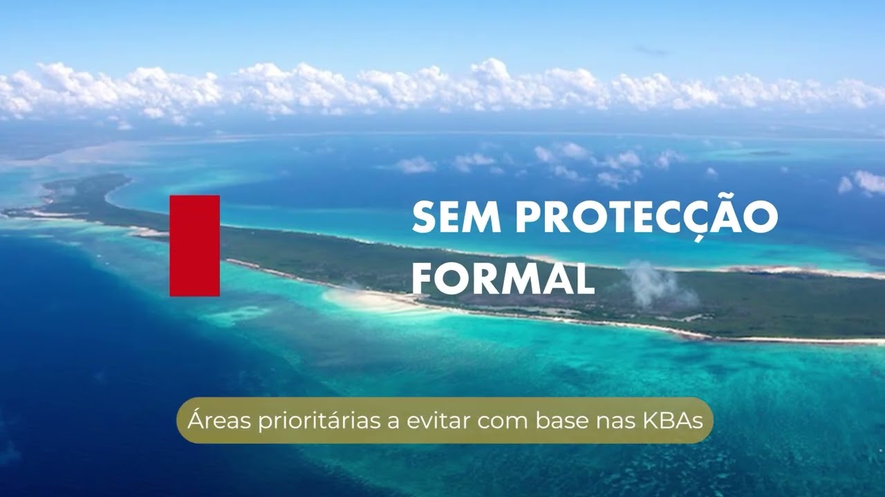 Resultados do Programa COMBO+ Moçambique