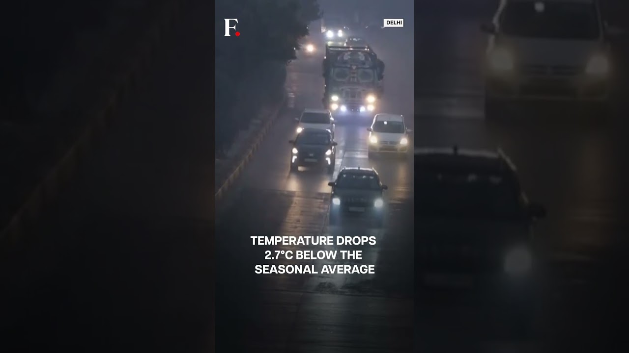 Delhi Cold Wave: Capital Records Coldest Winter Morning Since 2024 | Firstpost