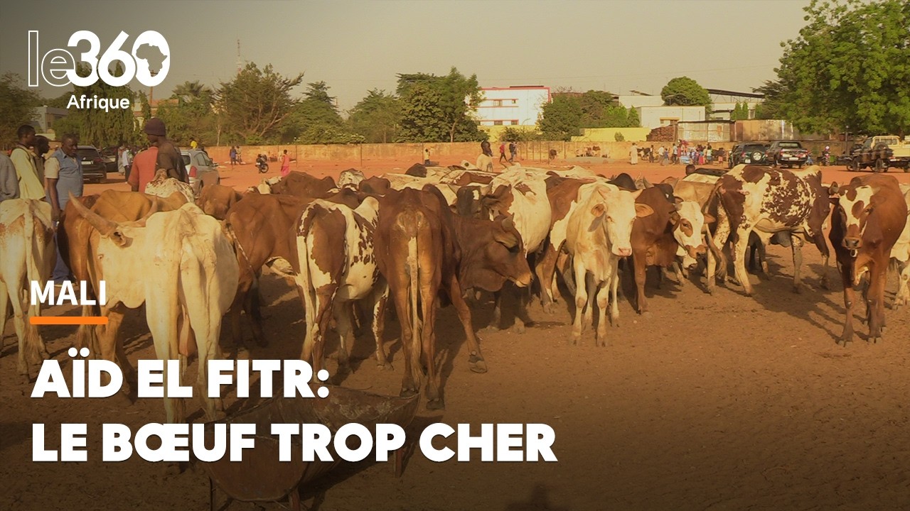 Préparatifs de l’Aïd El Fitr: à Bamako, le cœur n’y est pas, le bœuf trop cher