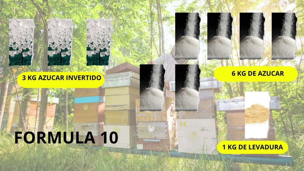 16 trucos de formulas nutritivas para las abejas de distintos paises