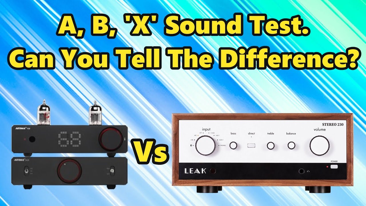 Aiyima A20/T20 Vs leak Stereo 230 #aiyima #utilitariantv #soundcomparison #leakaudio
