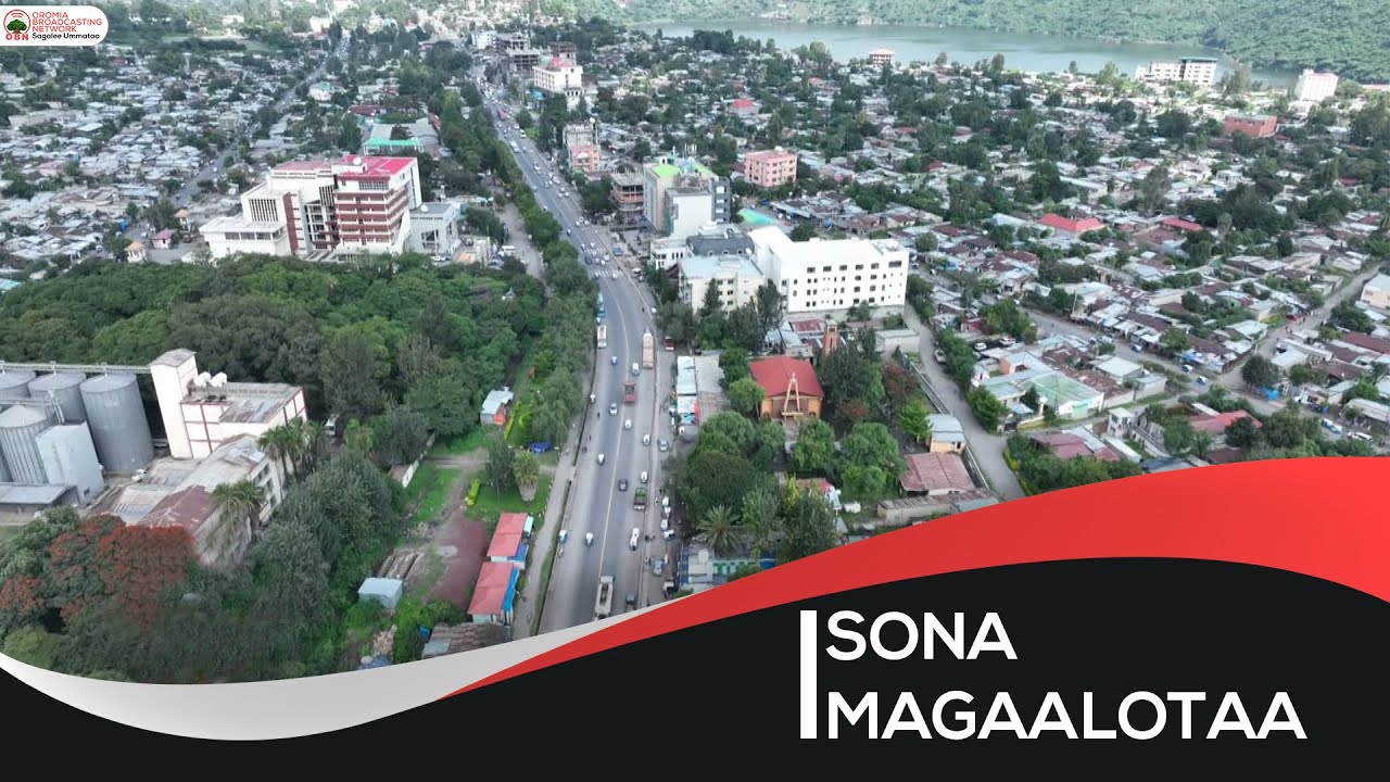 Sona Magaalotaa