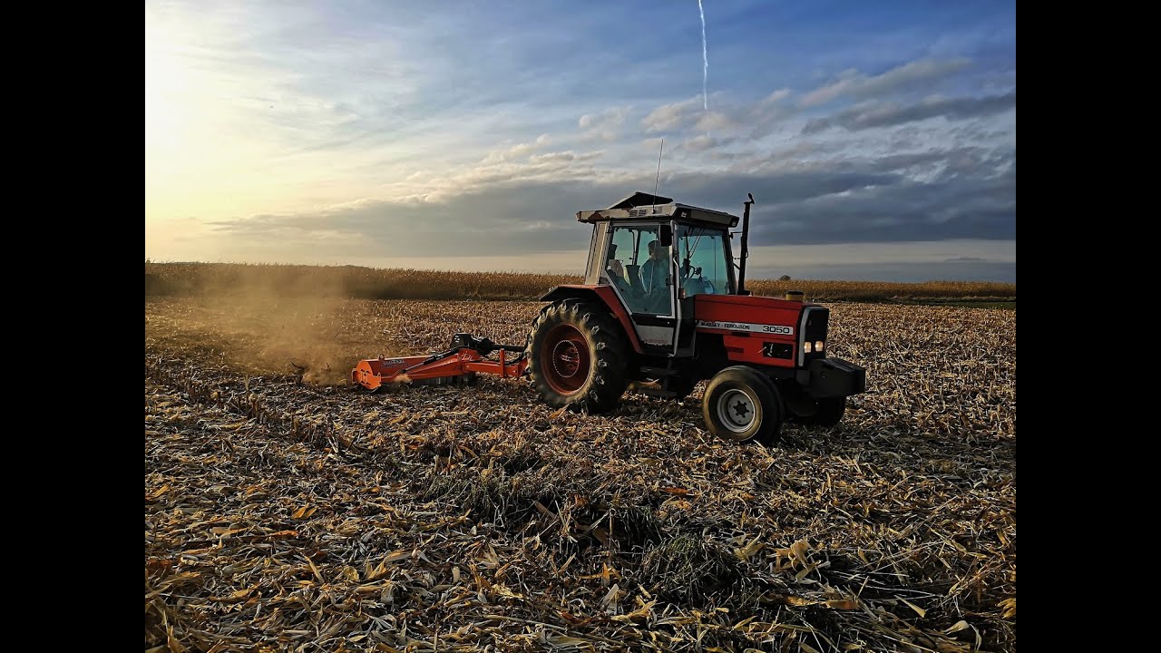 Mulczowanie ścierniska po kukurydzy Massey Ferguson 3050 & SaMASZ KANGU 140