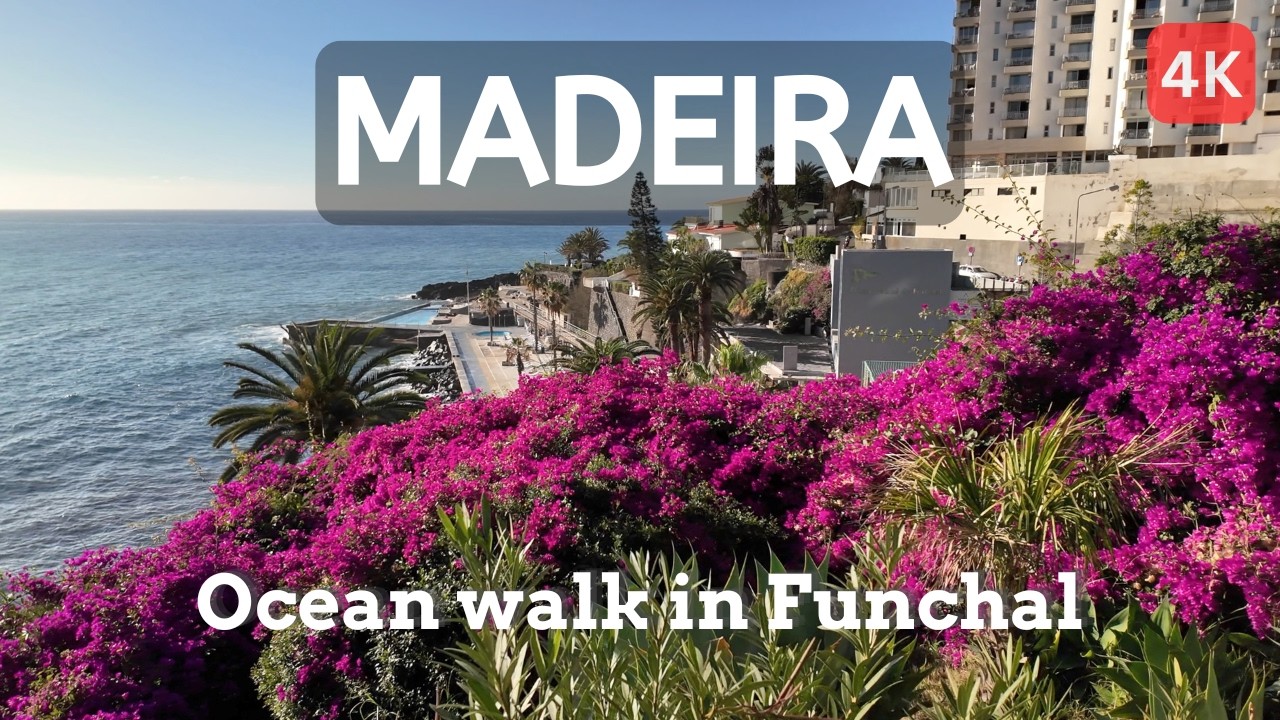 🌊 Ocean Promenade Walk: Lido to Formosa Beach, Funchal, Madeira | Beautiful Coastal Trail