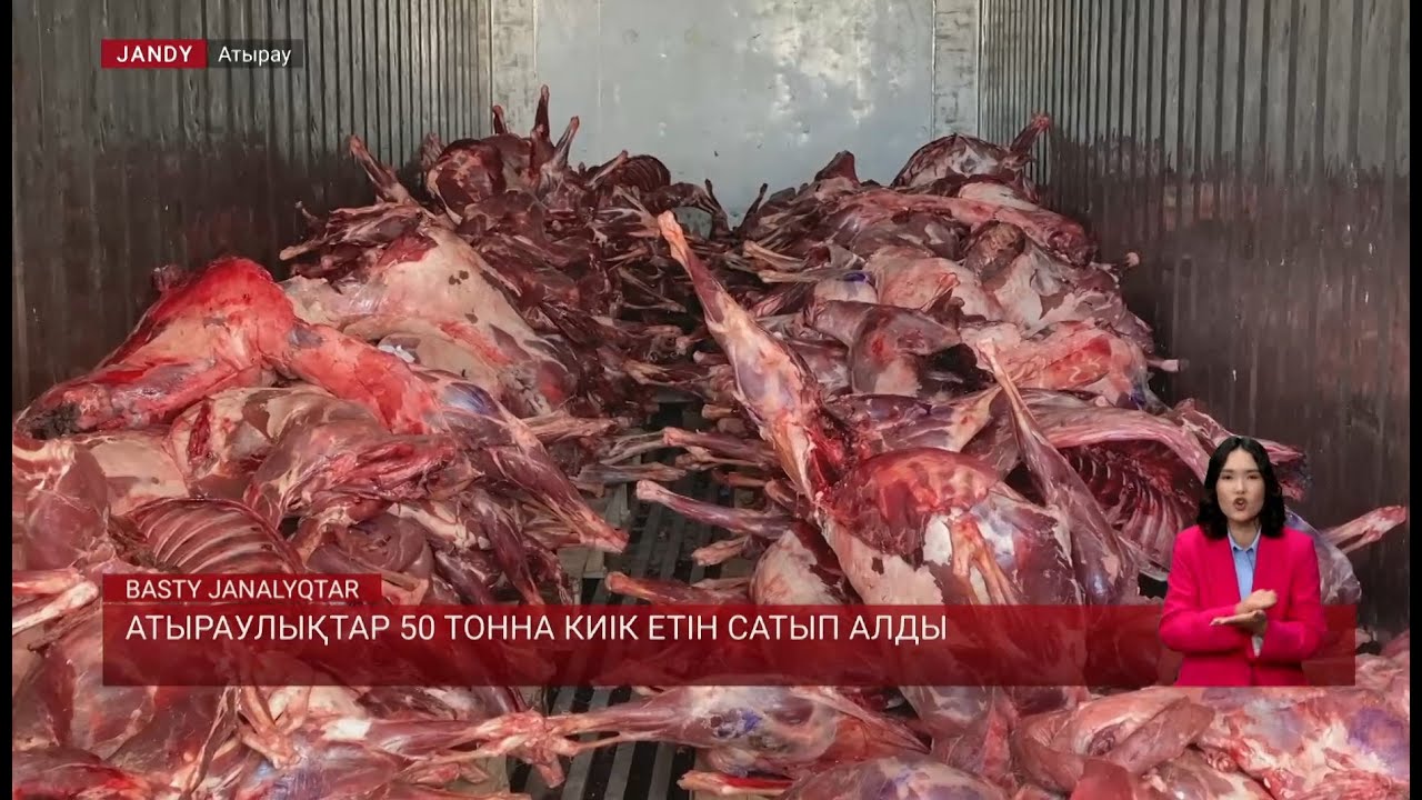 Атыраулықтар 50 тонна киік етін сатып алды