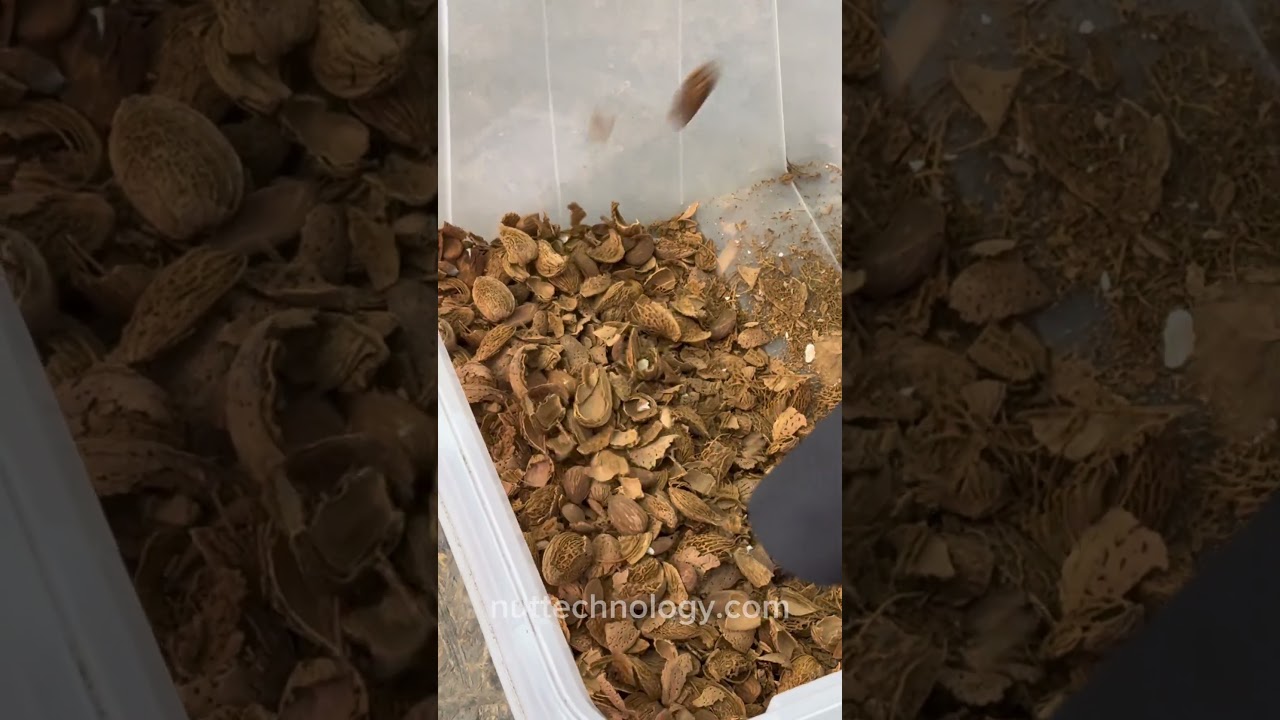 Industrial Almond Cracker: Gentle Cracking, 90% Whole Kernel