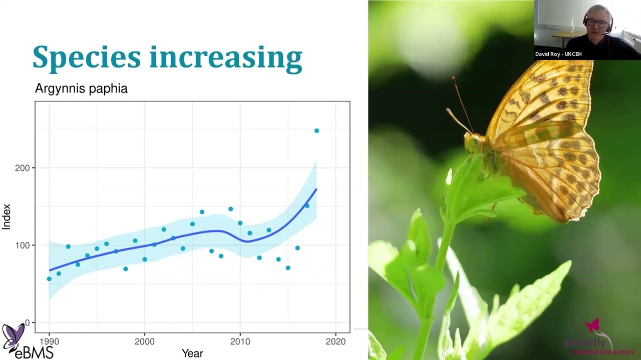 Session1: Butterfly Indicators – David Roy